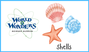 World of Wonder Pres